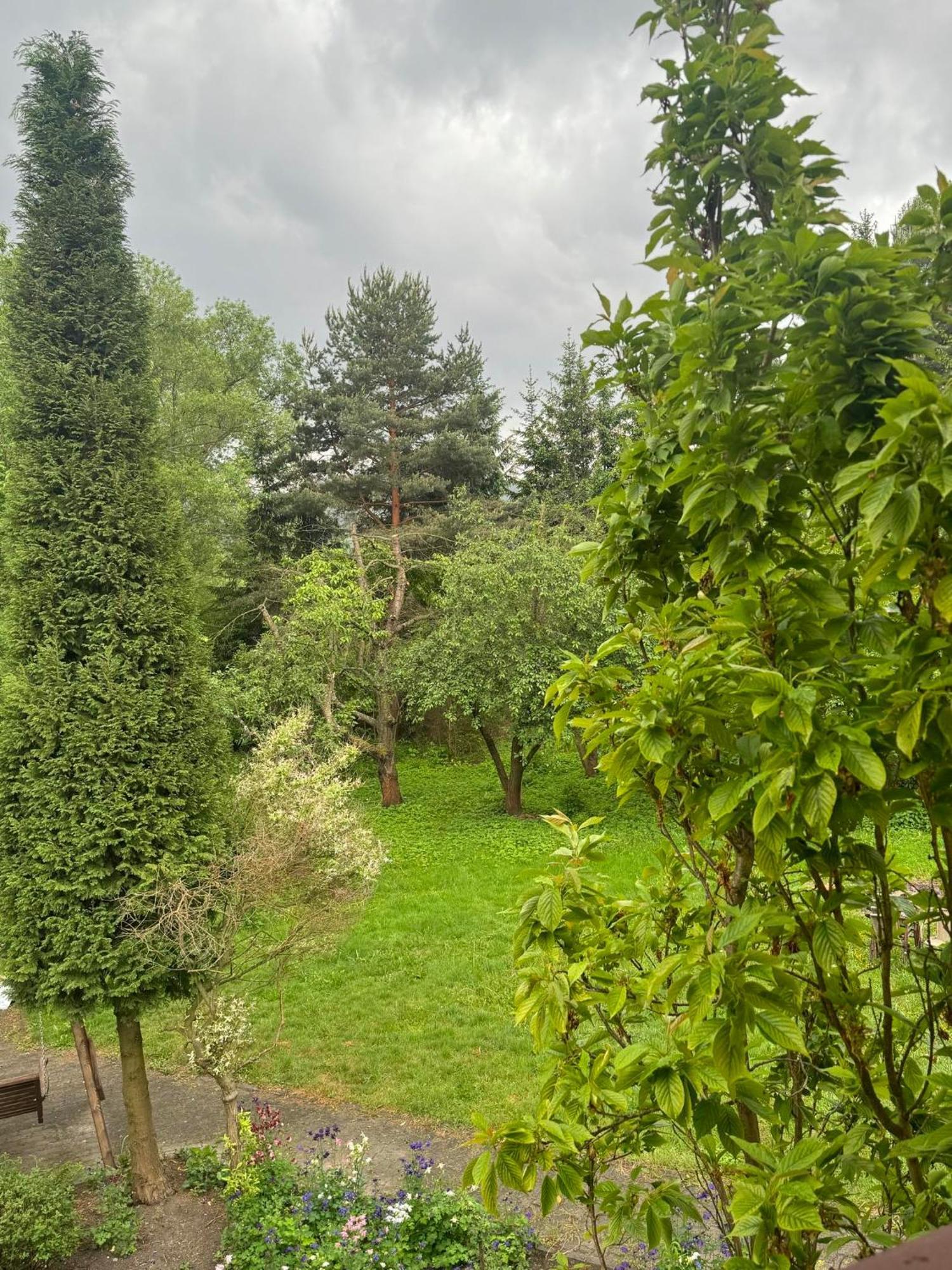 Zielony Zakatek Piechowice  Rum bild